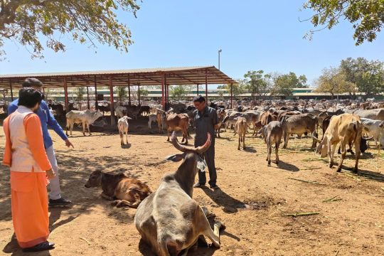 આશ્રમ